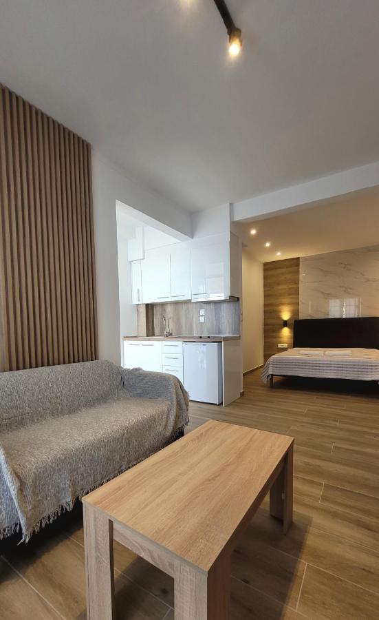 Sea View Apartment Nea Skioni